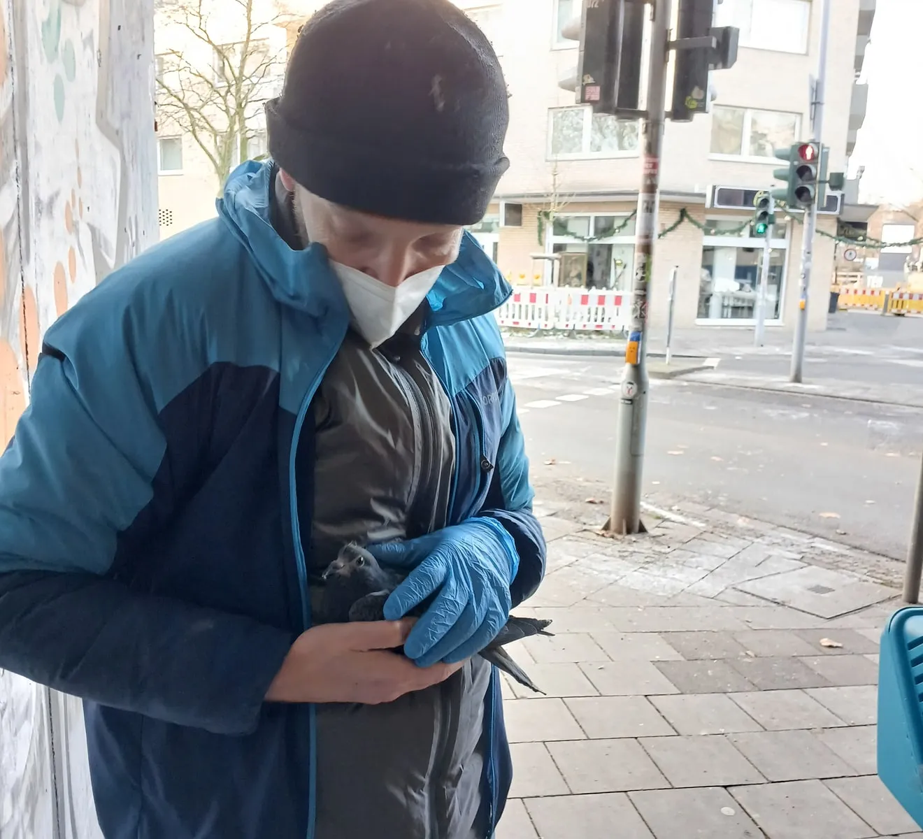 Betreuter Stadttaubenstandort an der Bachstraße