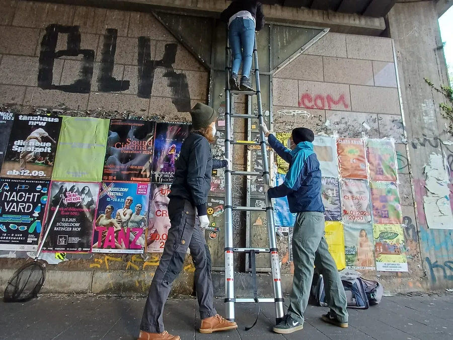 Einblick in die Vereinsarbeit von düsseltauben